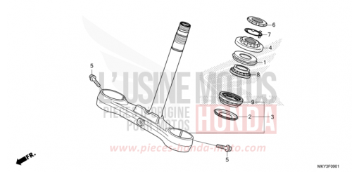 LENKSCHAFT (CBR650RA) CBR650RAM de 2021